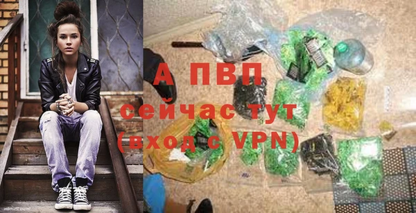 СК Медногорск