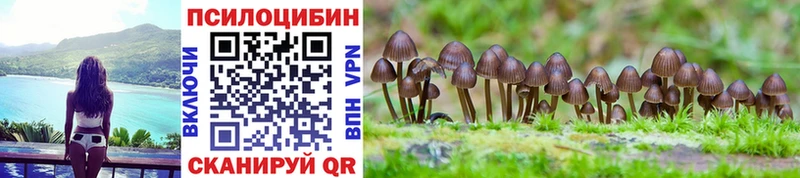 Галлюциногенные грибы MAGIC MUSHROOMS  кракен ТОР  Сураж  что такое  