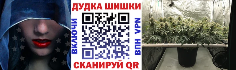 как найти закладки Сураж МЕГА сайт Канабис SATIVA & INDICA